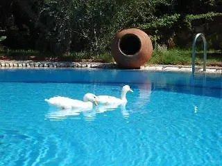 Hotel Antik Zeytin Bio Türkbükü