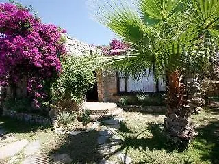 Antik Zeytin Bio * Türkbükü