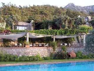 Hotel Antik Zeytin Bio Türkbükü
